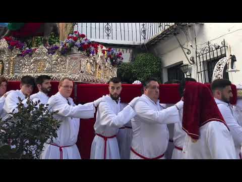  Resumen Domingo de Ramos Pollinica Marbella