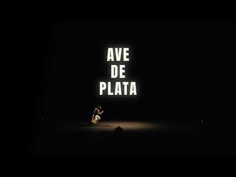 Play video: Ave de Plata Sara Jimenez