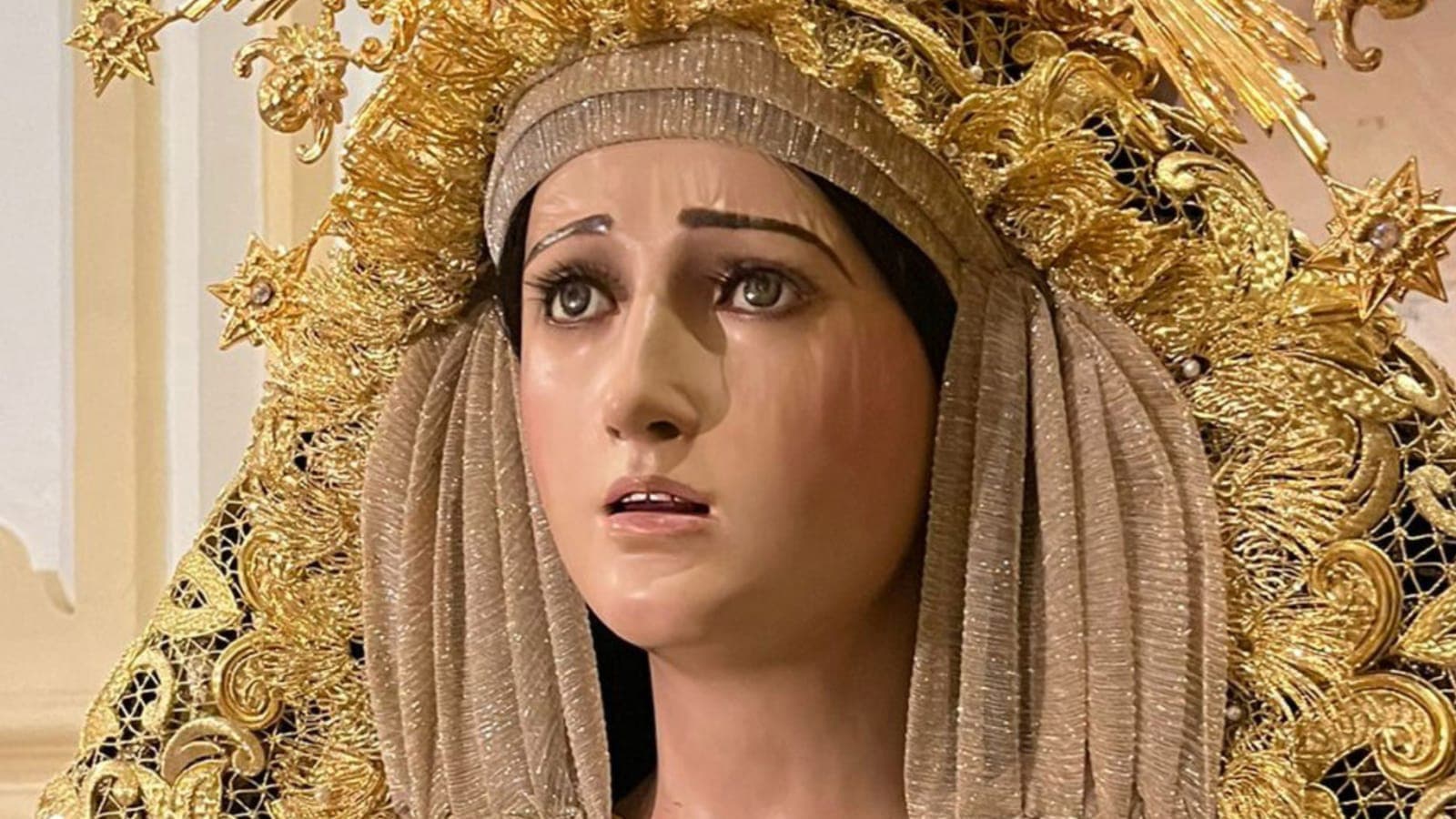 Hermandad La Pollinica Imagen de Portada