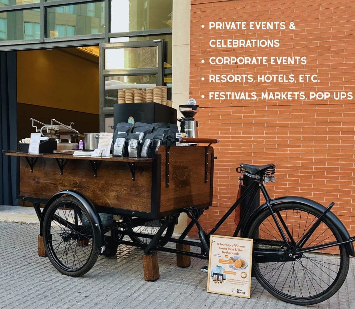 Tico Origins Imagen de Galería 1