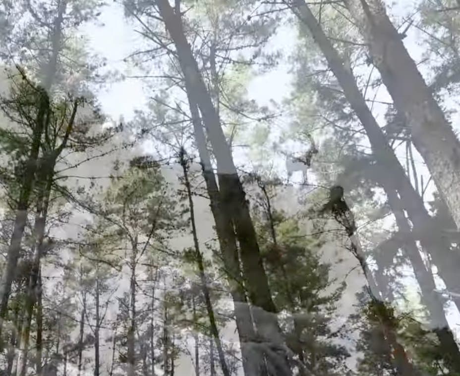 CxM Tajo Negro Imagen de Galería 3