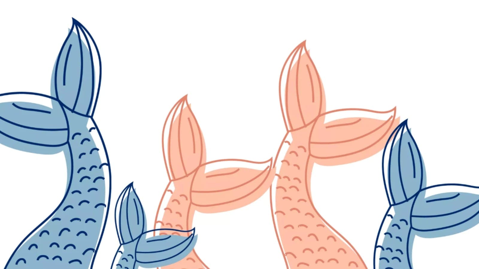 Marina Wonderbirth Cover Image