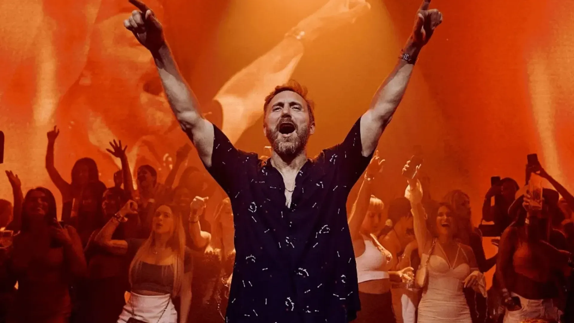 David Guetta Imagen de Galería 1