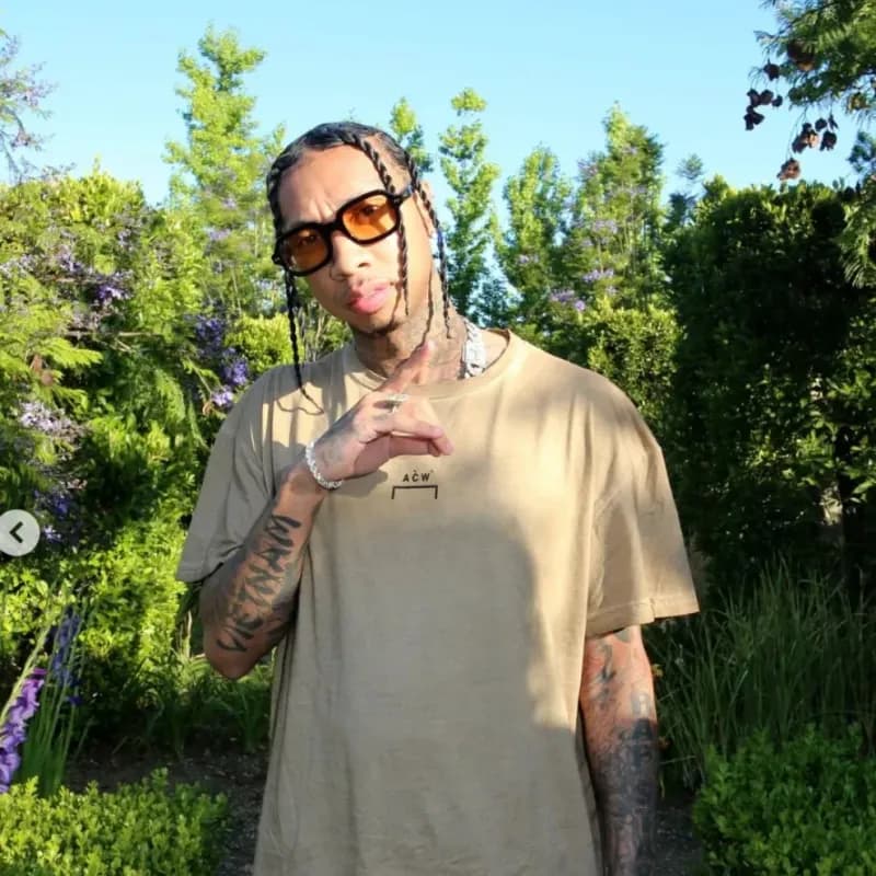 Tyga con trenzas y gafas de sol en un jardín, retrato informal del rapero estadounidense conocido por su hip hop y temas de club.
