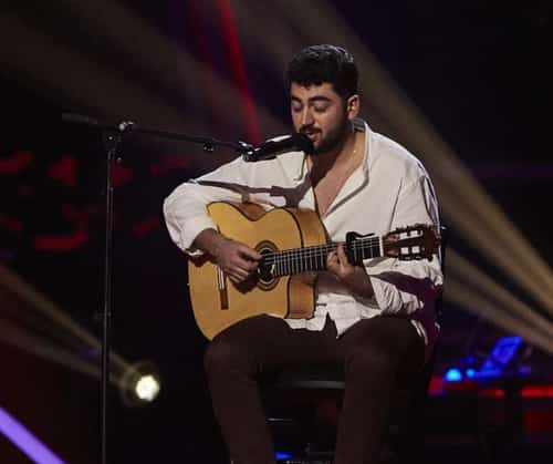 🎶 Gonzalo Alhambra Gallery Image 2