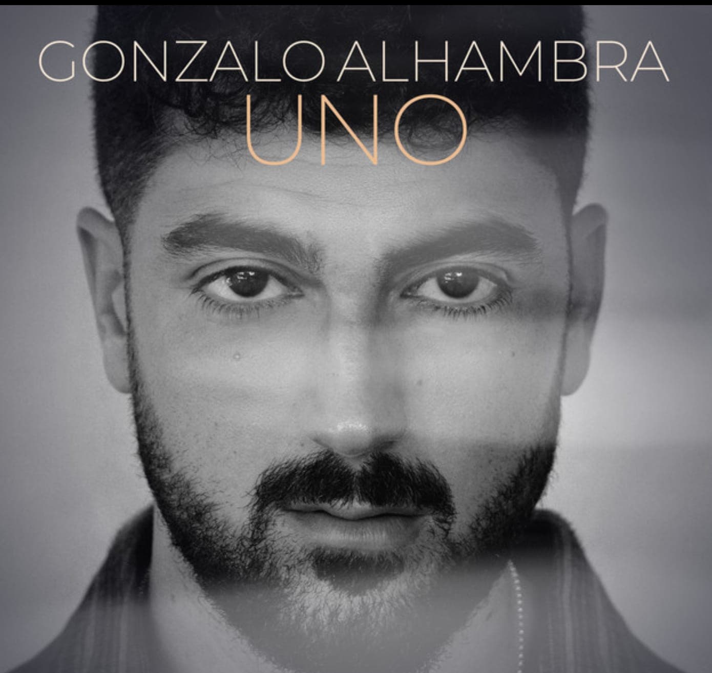 🎶 Gonzalo Alhambra Imagen de Galería 3