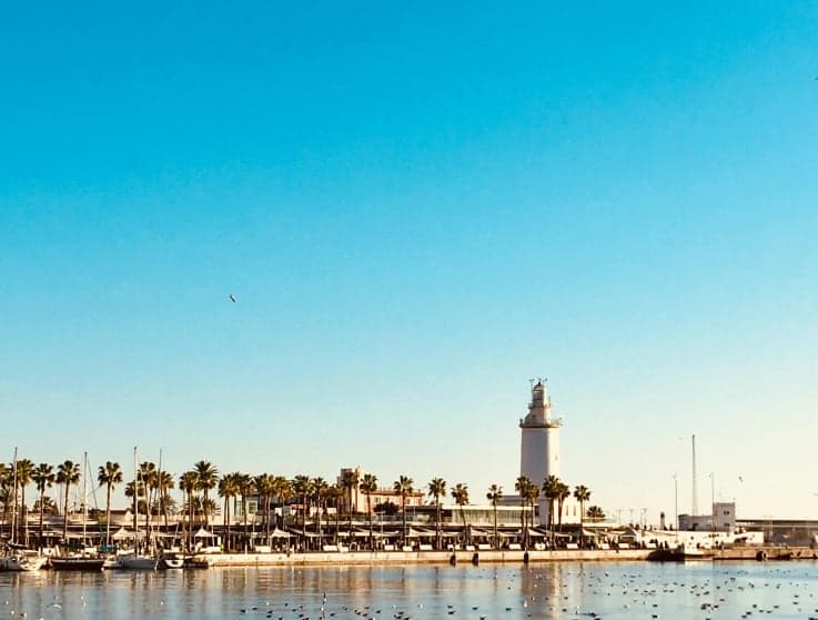 TeVienes – La plataforma que conecta a creadores y eventos de Marbella imagen destacada