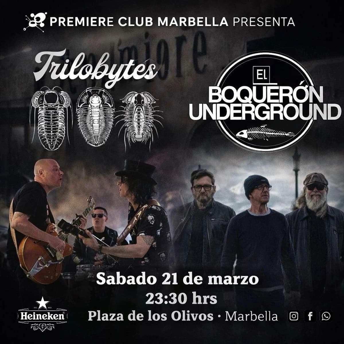 Doble sesi贸n underground de rock en vivo
P贸ster