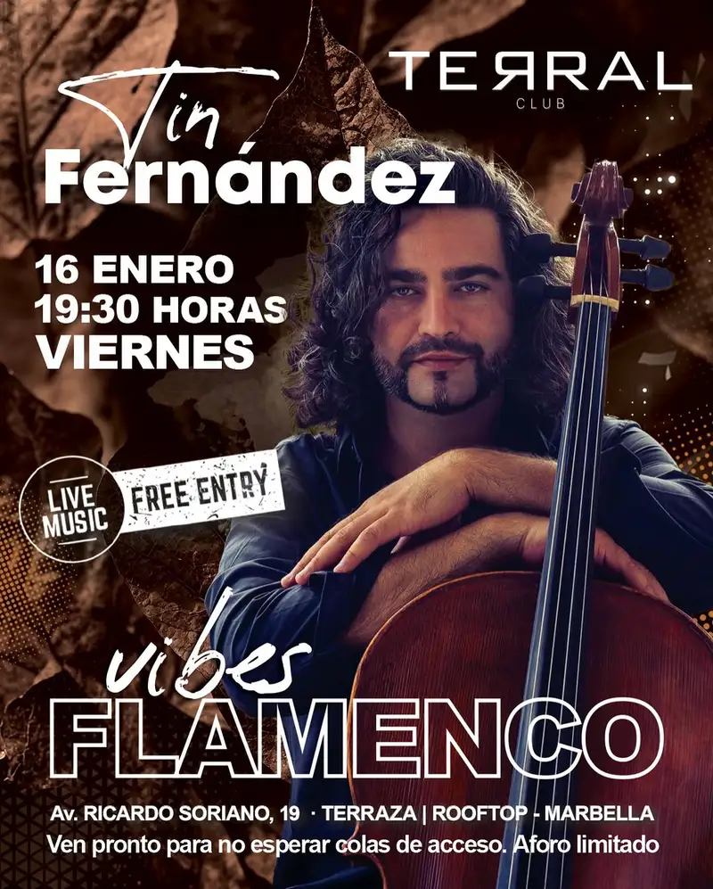 Tin Fernández – Magic of Flamenco Fusion Poster