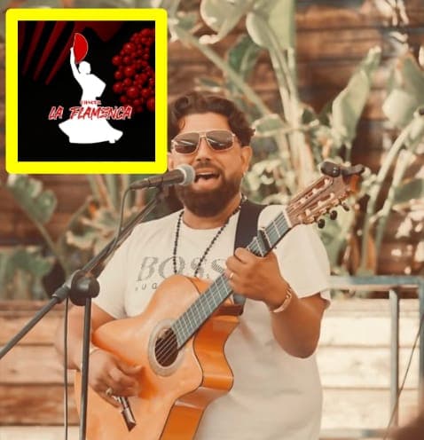 Manzanita — Concert Poster