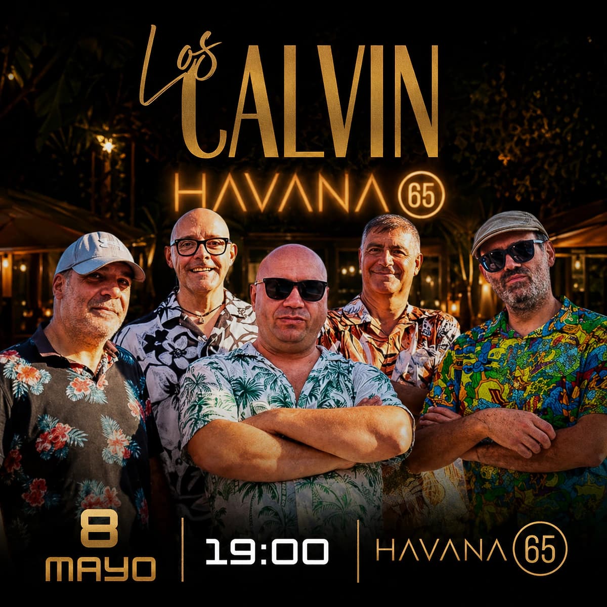 Los Calvin vuelven a Havana 65 Póster