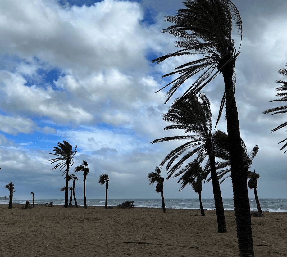 Volley Playa - Sixto Jimenez Imagen de Galería 2