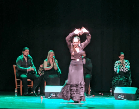 Flamenco Festival - XLII 2025 Gallery Image 3