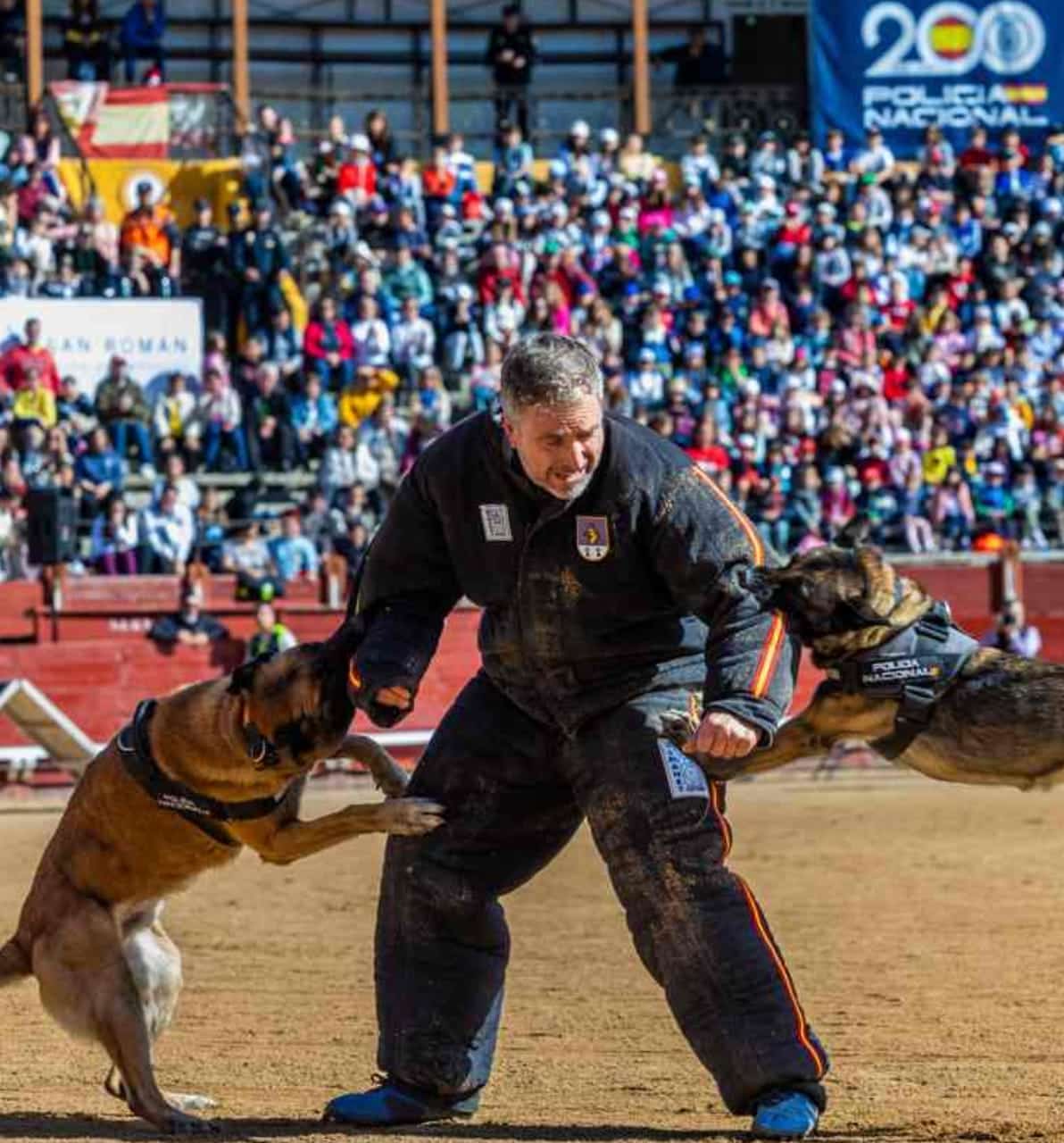 Cartel oficial de la Exhibición de Unidades de la Policía Local de Marbella en la Plaza de Toros el 26 de septiembre con perros, caballos, patrullas y unidades especiales