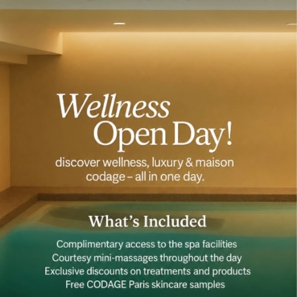 Wellness Spa Open Day Póster