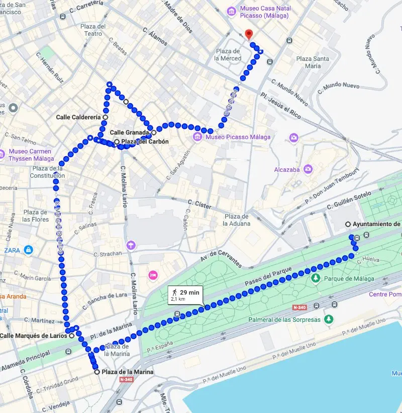 Self-Employed Workers Demonstration 30N Málaga Gallery Image 2