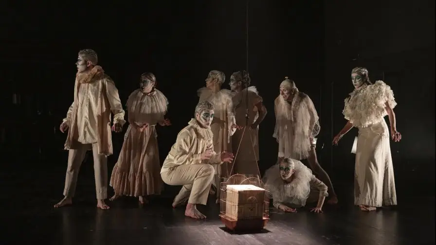 Del Nido al Nicho – Un Viaje Tragicómico Póster