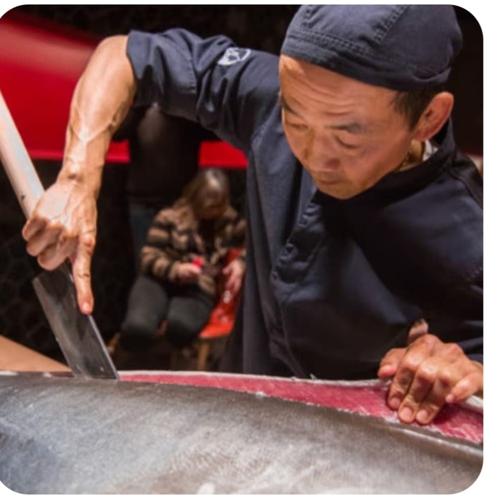 Ronqueo de un atún & Flamenco Póster