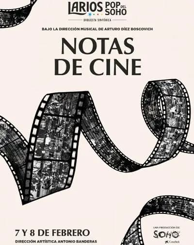 Notas de Cine Póster