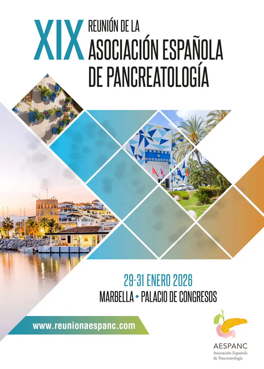 Poster for the 19th Meeting of the Spanish Association of Pancreatology in Marbella, held from 29 to 31 January 2026 at the Marbella Congress Palace, featuring city views and the conference venue.