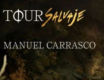 Manuel Carrasco - Tour Salvaje Imagen de GalerĂa 1