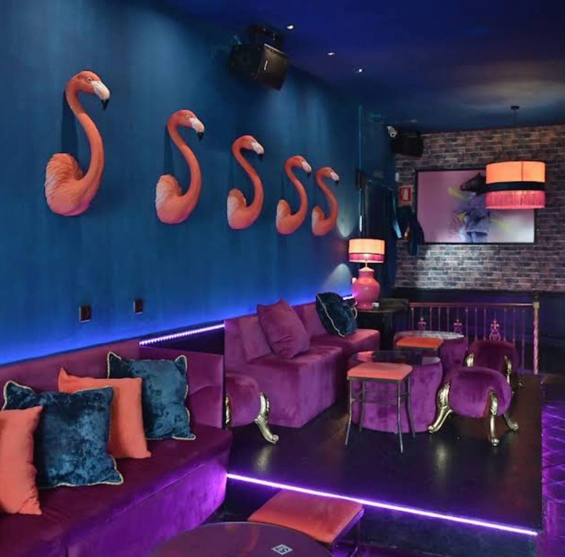 Tendereke Live – Dinner‑Cocktail + Concert at Volare Marbella Night (1 August, from 21:30) Gallery Image 3