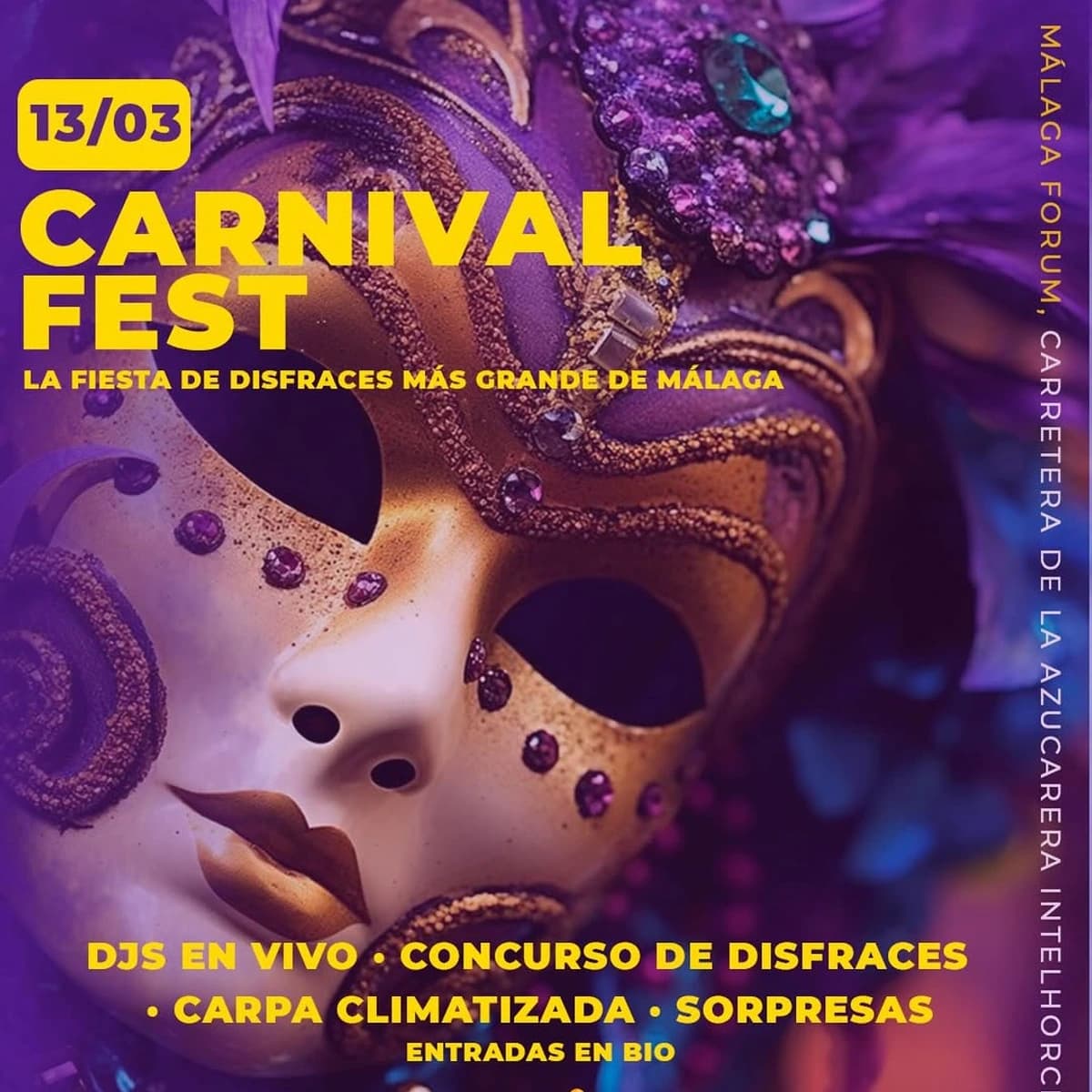 Carnival Fest Málaga – Dance and Costume Extravaganza Poster