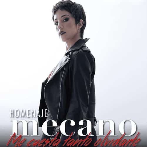 Banda tributo interpretando canciones de MECANO