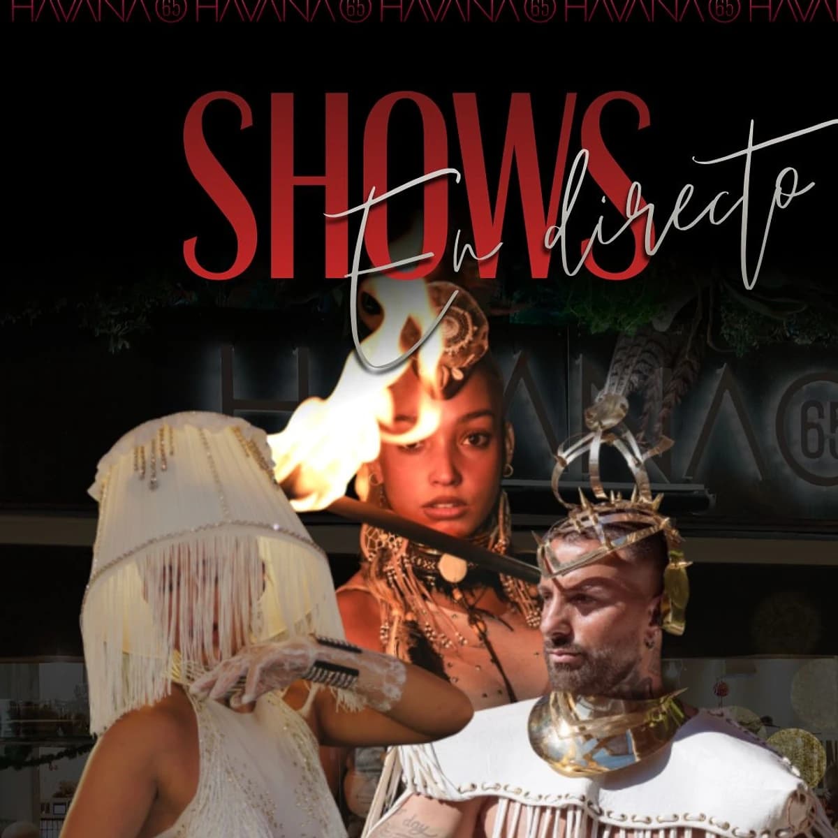 Noche de Shows y Performance
PĂłster