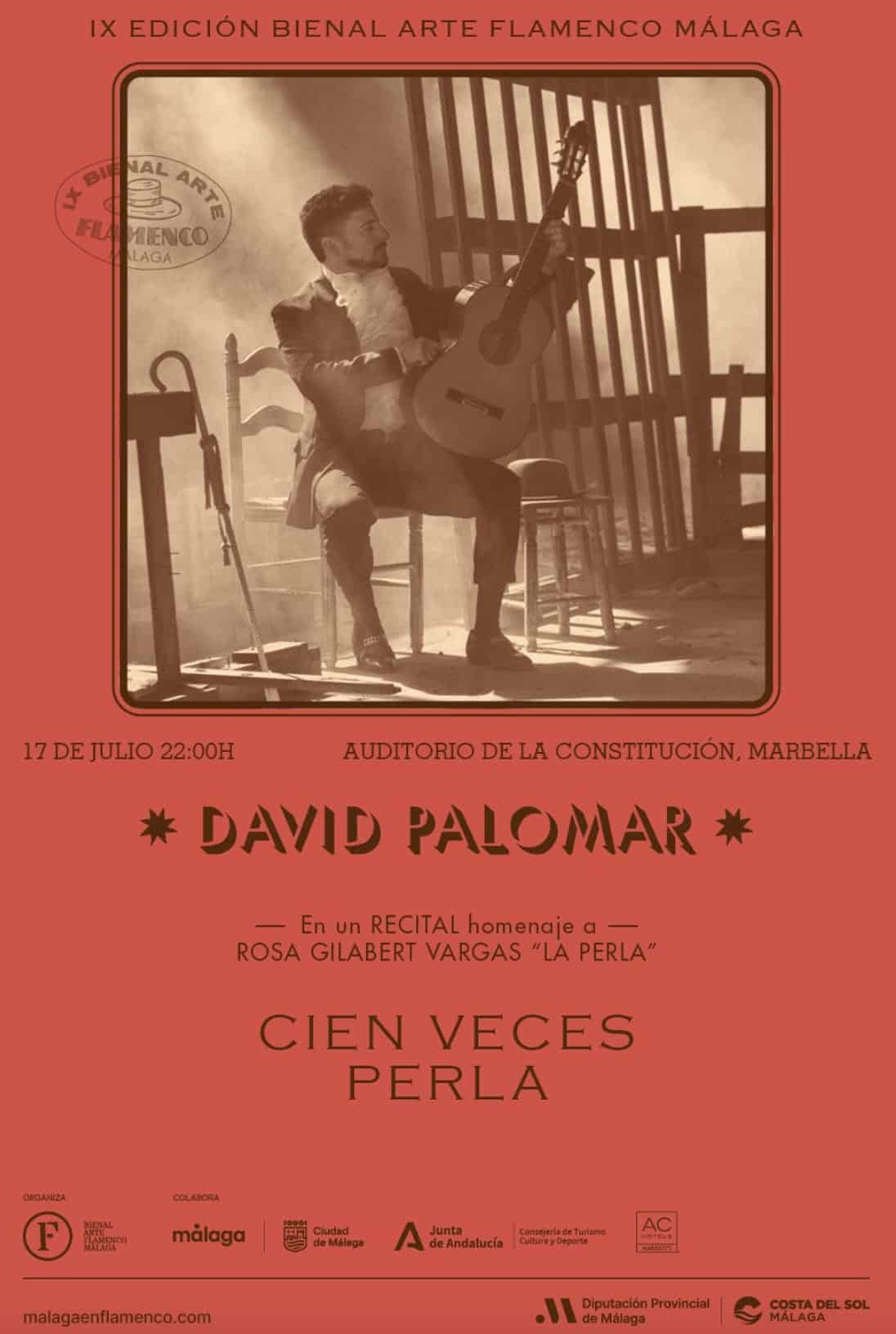 David Palomar - Flamenco Poster