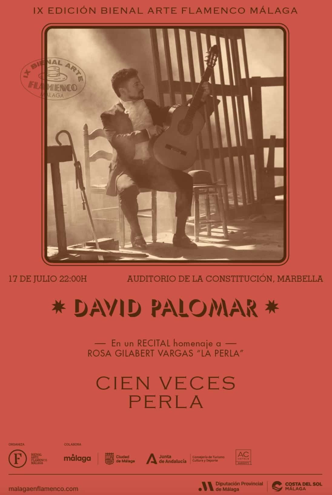David Palomar - Flamenco Poster