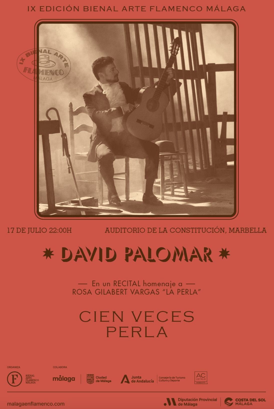 David Palomar - Flamenco Póster