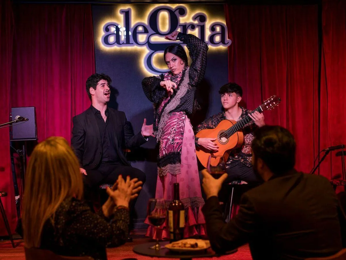 Espectáculo de flamenco en Alegría en Málaga 2026