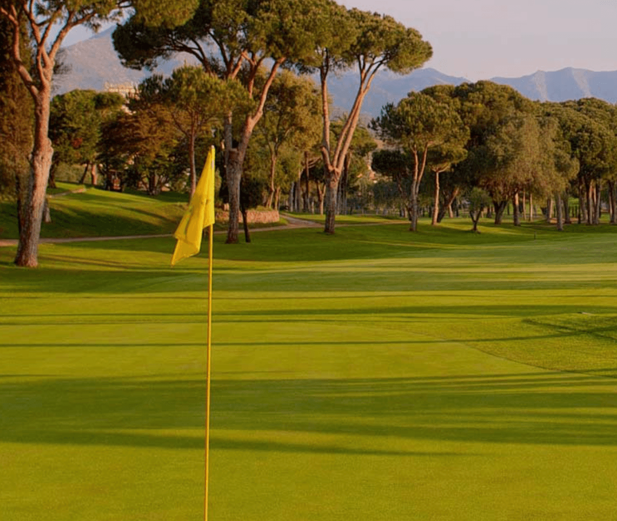 The One Marbella Golf Cup - Rio Real Imagen de Galería 3