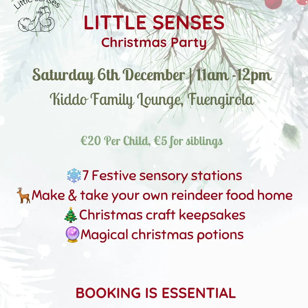Little Senses Christmas Party Poster