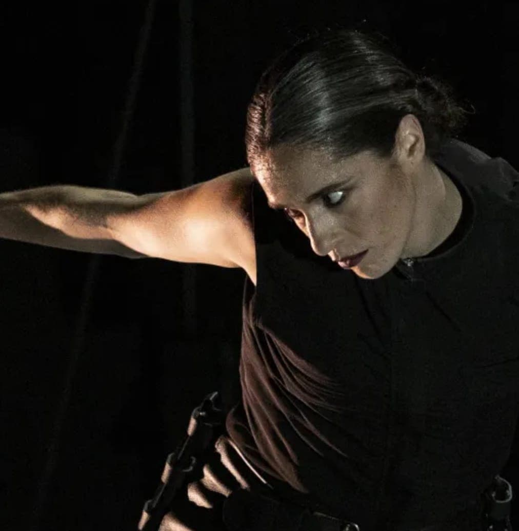 Ave de Plata Gallery Image 1