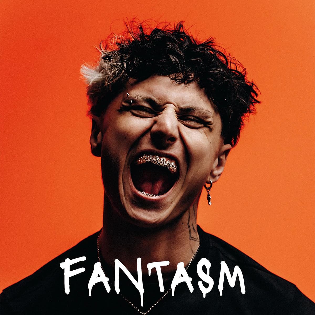 Fantasm – Noche en Studio Club Póster