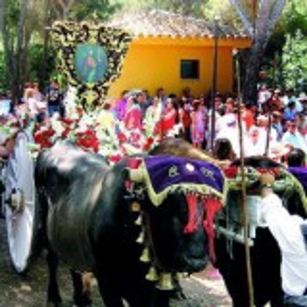 Romería de San Bernabé Marbella 2026 Póster