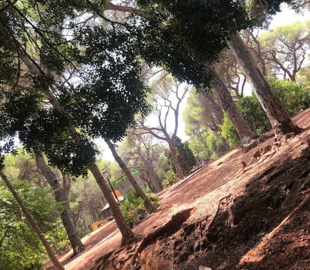 Parque Vigil de Quiñones (Marbella) Imagen de Galería 3