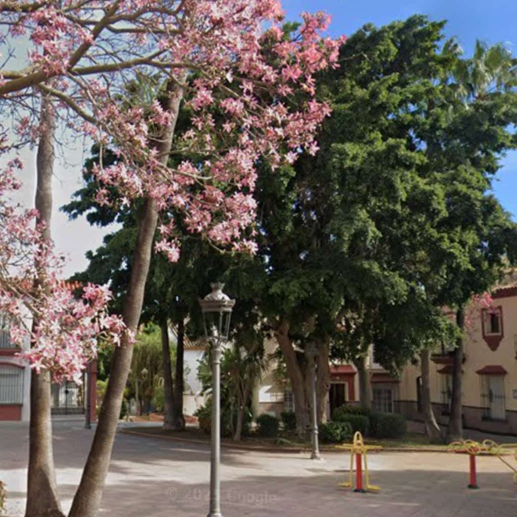 Plaza de la Juventud logo