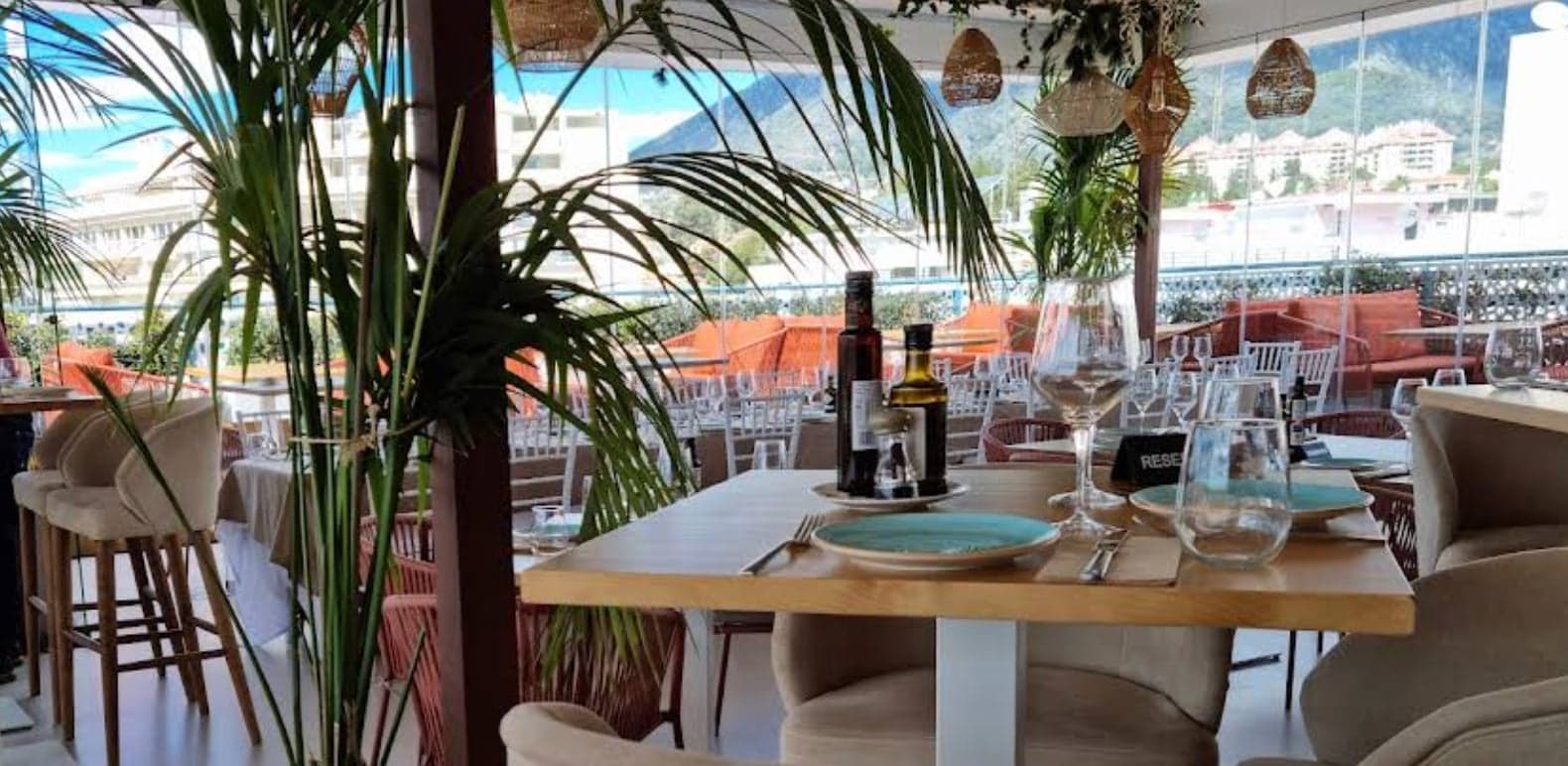 Terral Club Imagen de Portada