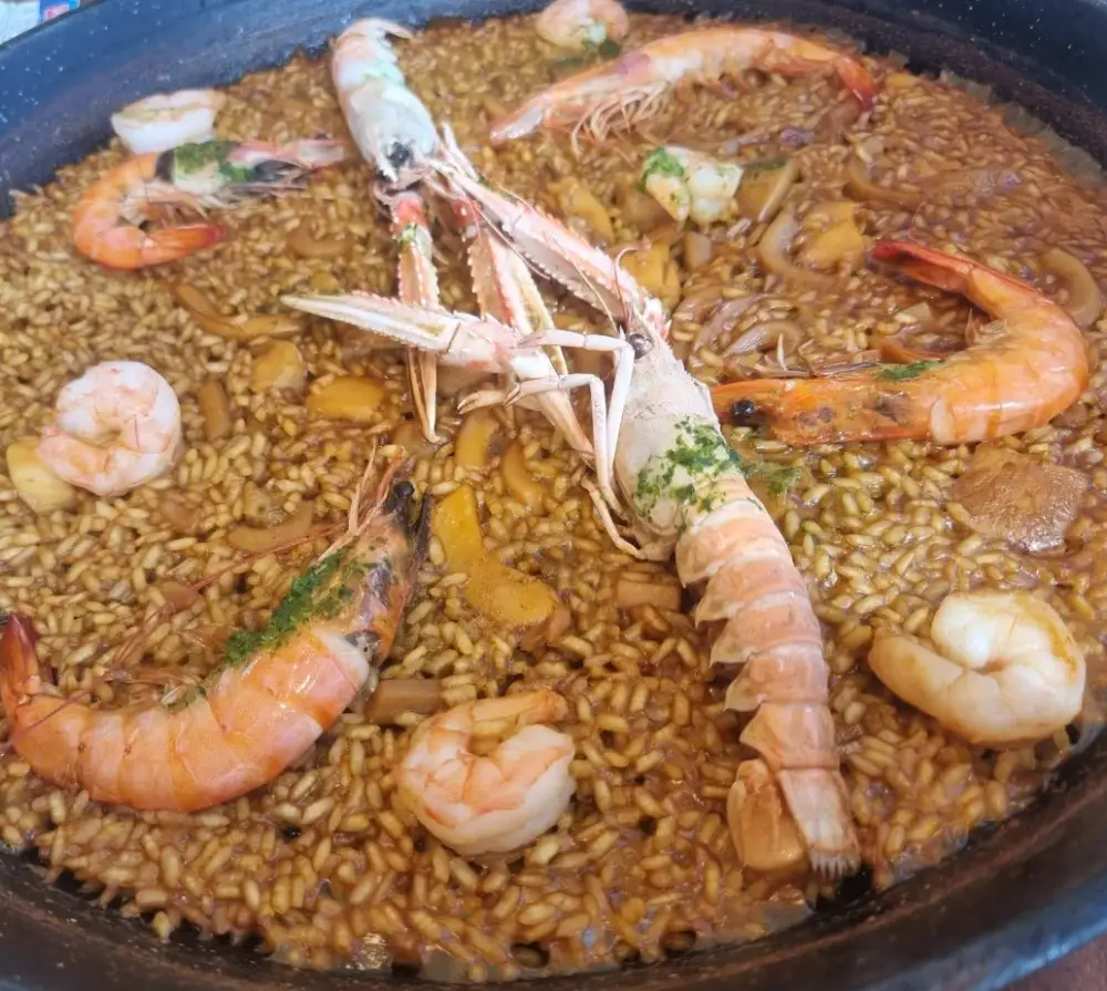 Alabardero Imagen de Portada