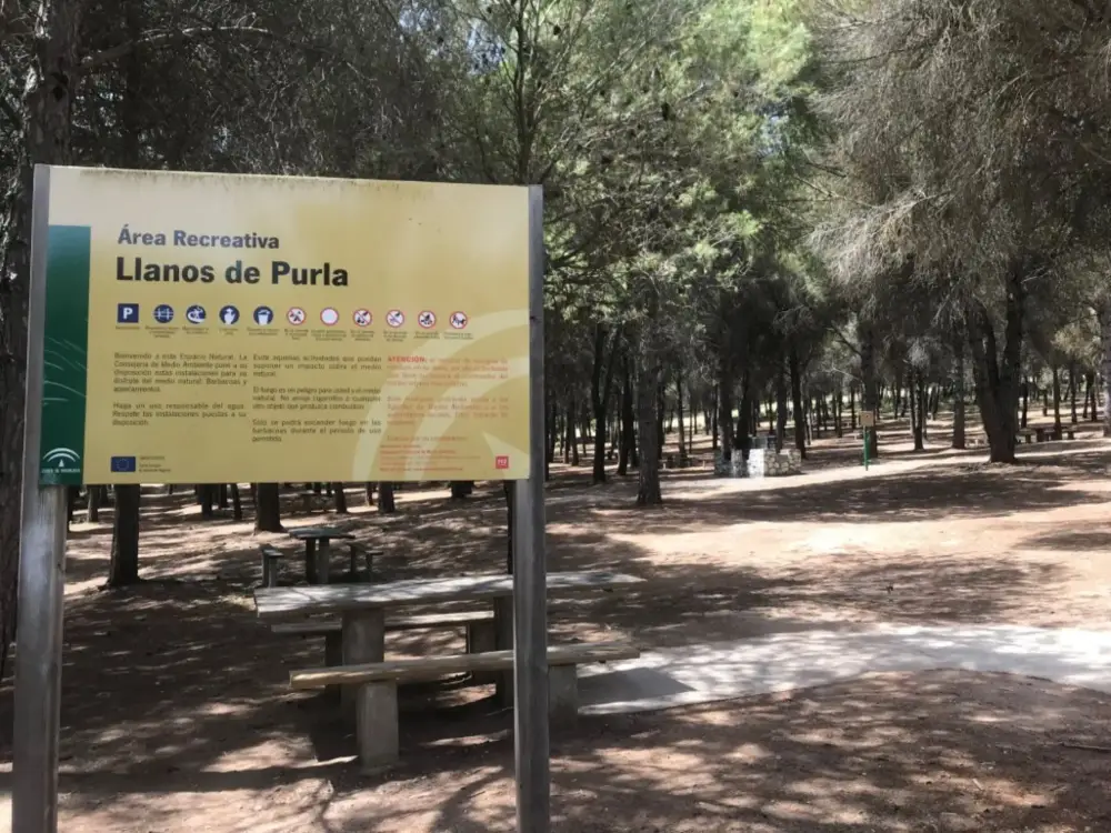 Llanos de Purla Gallery Image 3