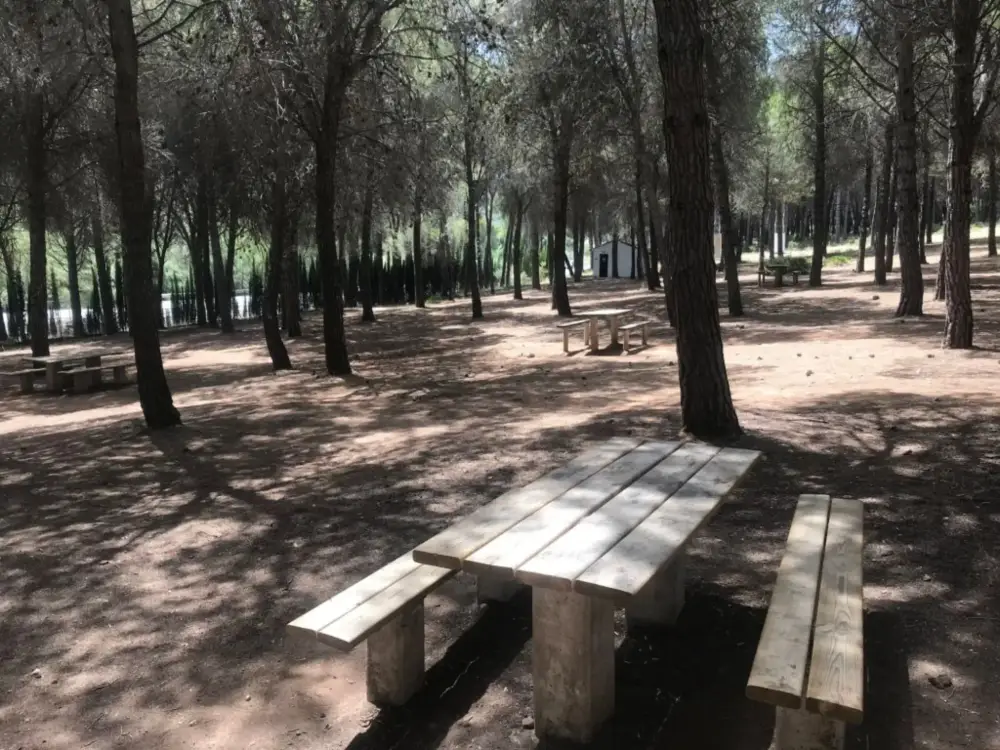 Llanos de Purla Cover Image