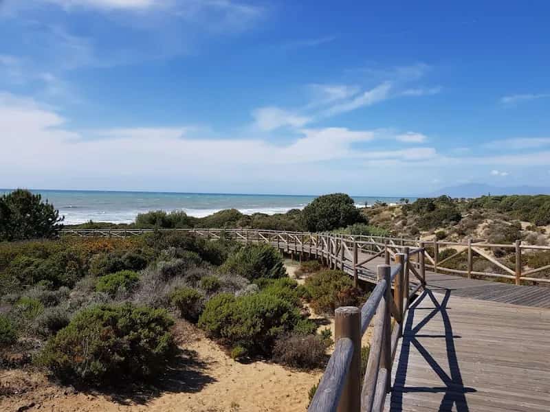 Dunas de Artola o Cabopino logo