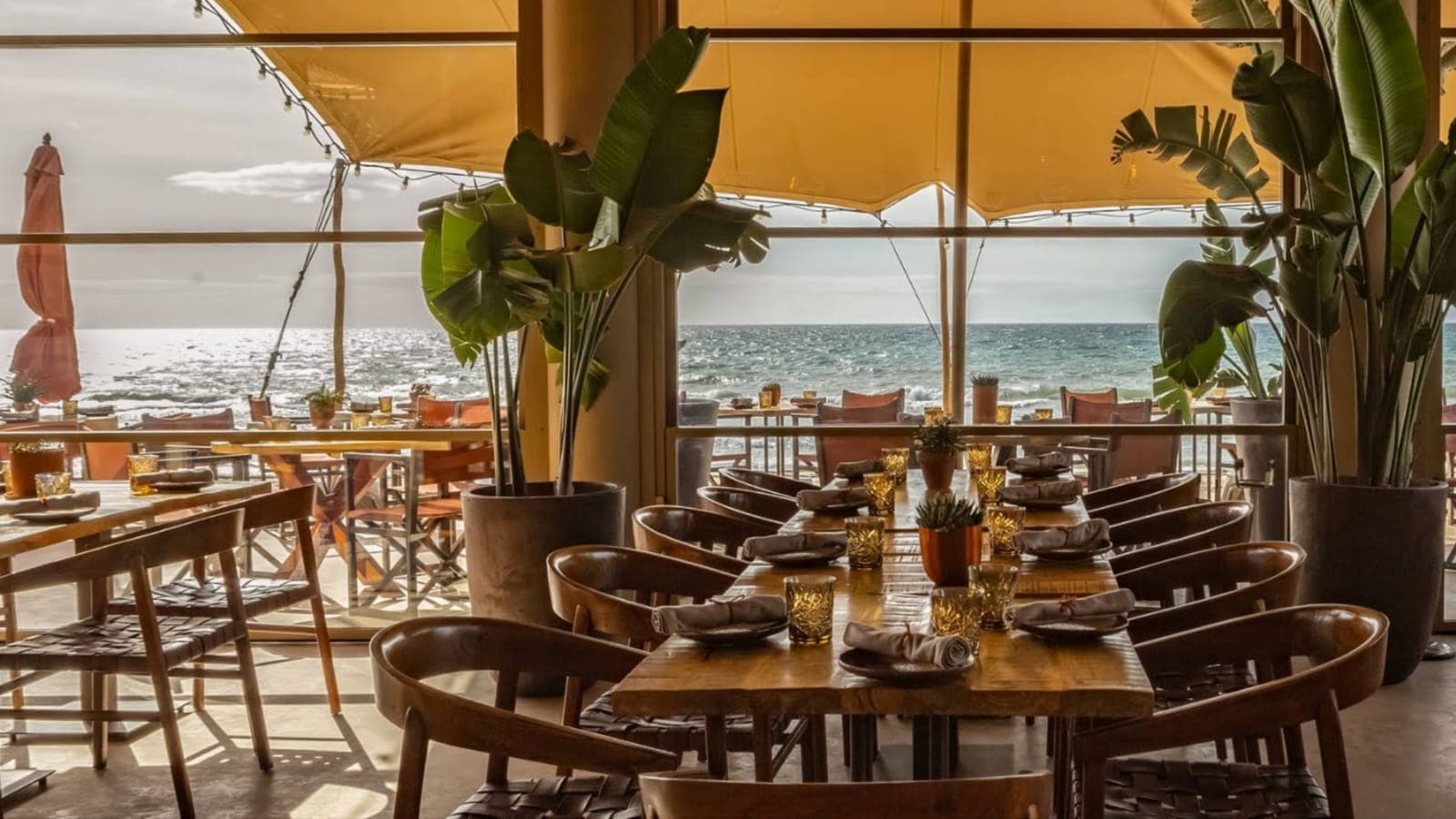 Oyana Beach 🎶🍹 Imagen de Galería 3