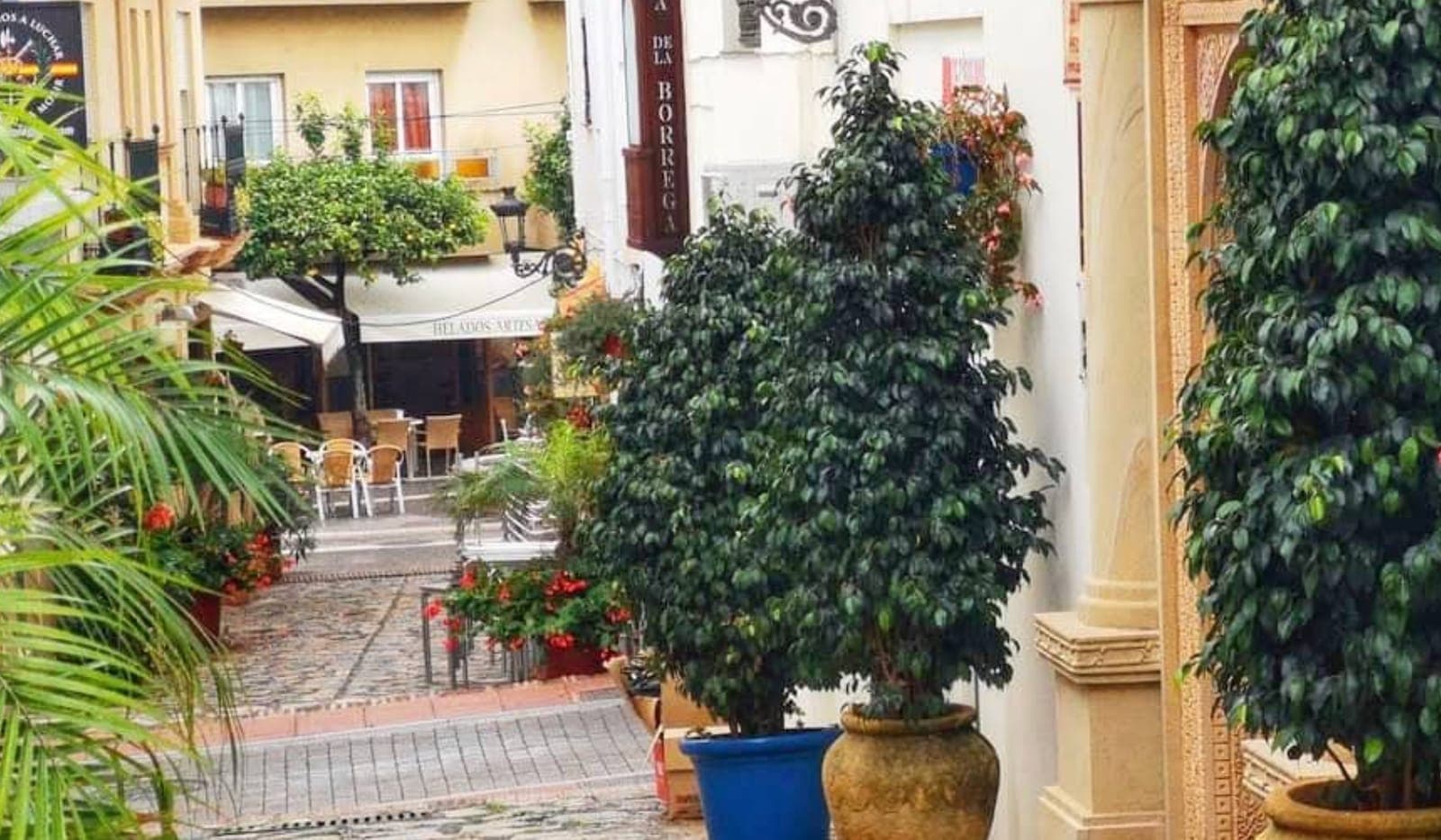 Calle Terraza : Estepona – Galería Urbana y Paseo Cultural Imagen de Portada