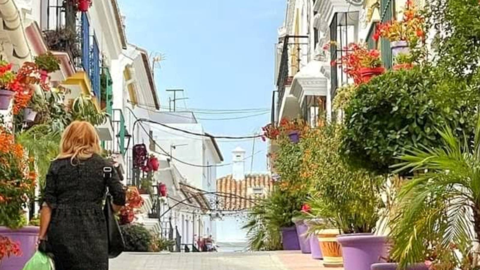 Calle Terraza : Estepona – Galería Urbana y Paseo Cultural Imagen de Galería 2