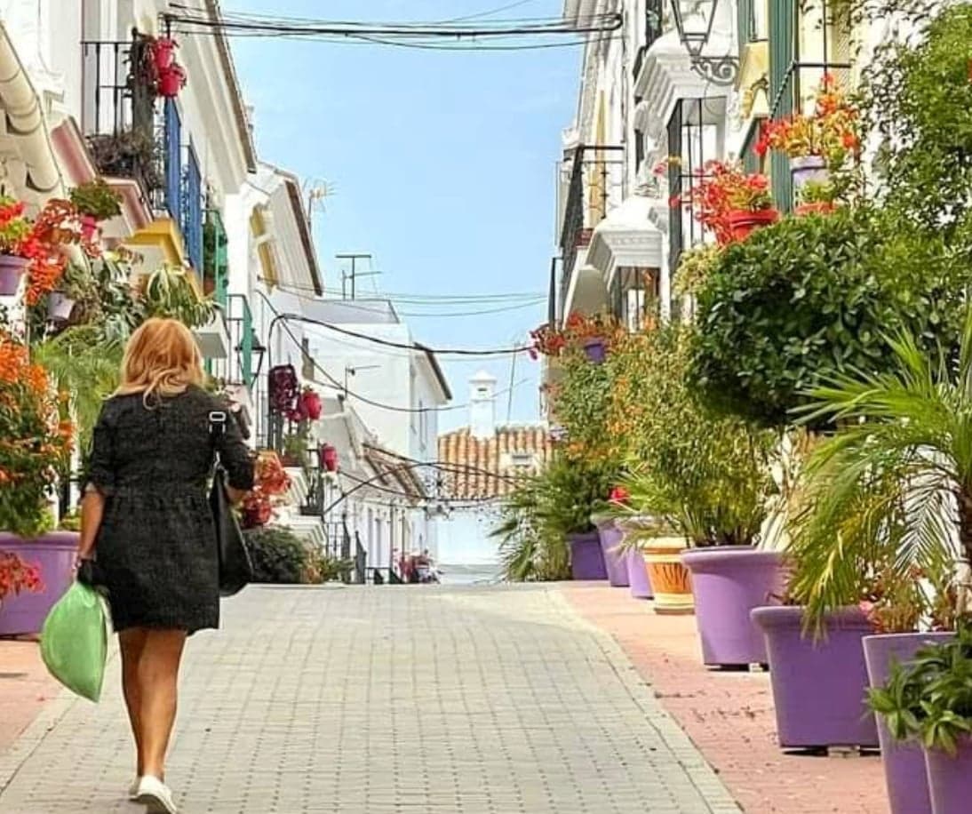 Calle Terraza : Estepona – Galería Urbana y Paseo Cultural Imagen de Galería 3