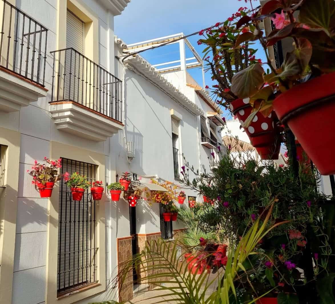 Calle Terraza : Estepona – Galería Urbana y Paseo Cultural logo